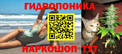 гидропоника Новодвинск