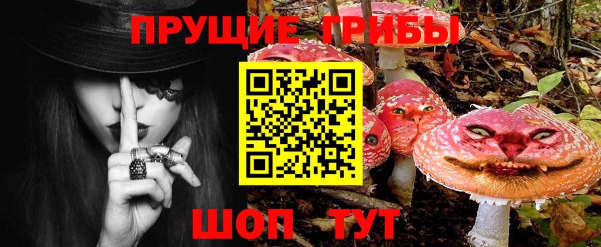 Серпухов  Галлюциногенные грибы мицелий  купить наркотик  Вход с VPN  Псилоцибиновые грибы Cubensis 