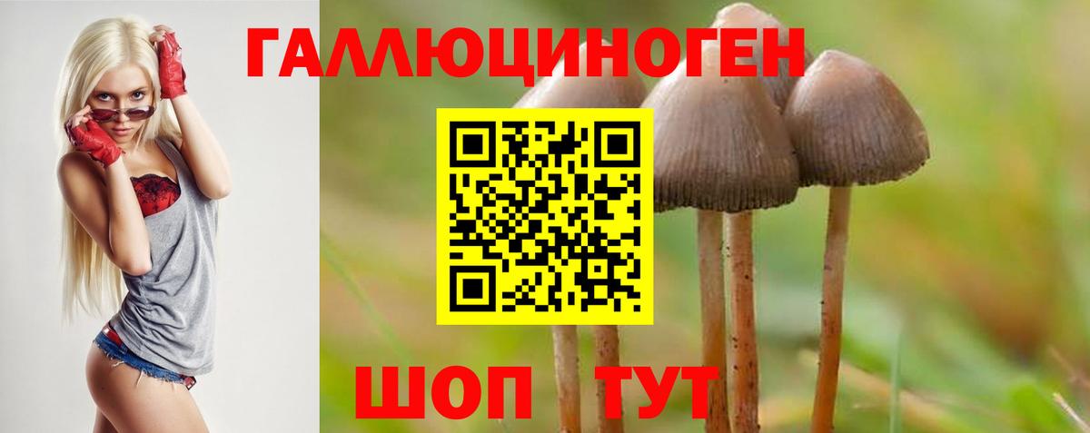 Галлюциногенные грибы Psilocybe Серпухов